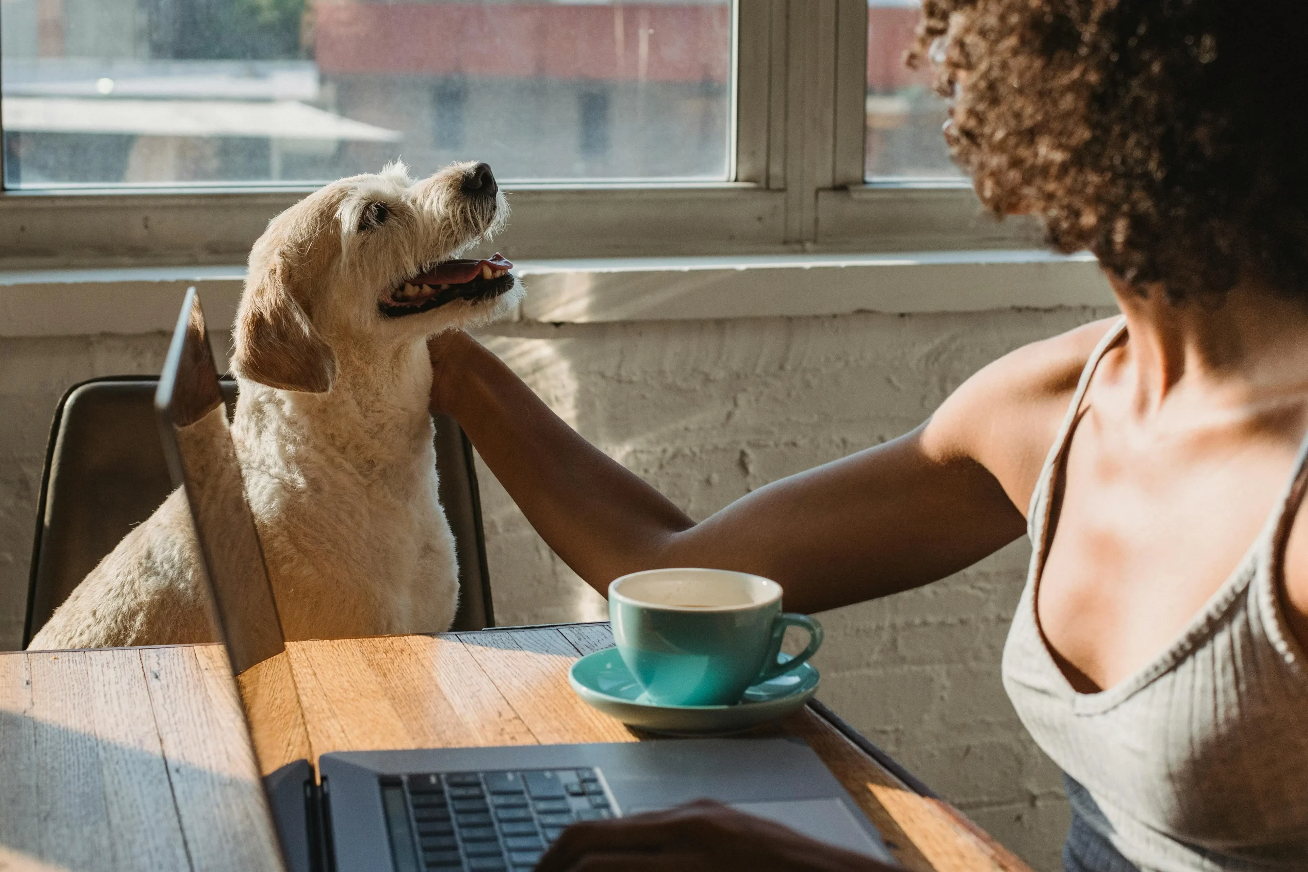 coworking pet friendly