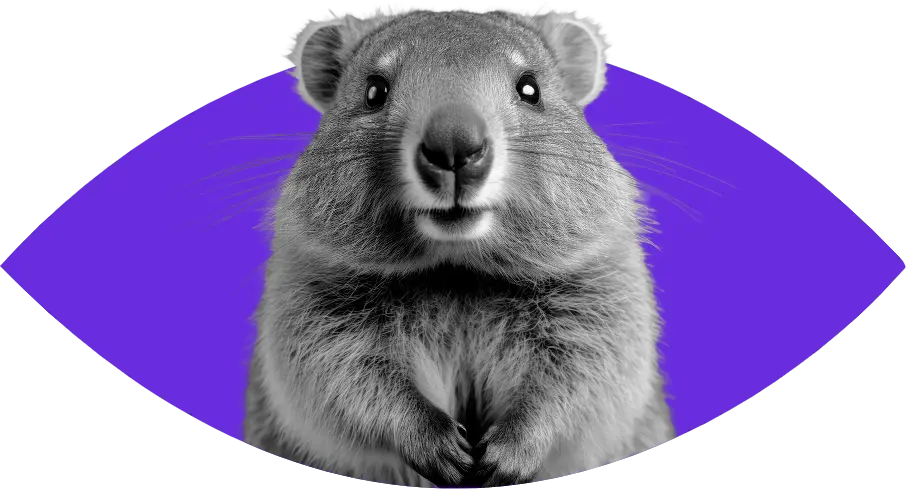Qué es Quokka